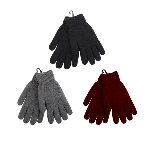 Ladies Double Layer Winter Gloves 12/bx