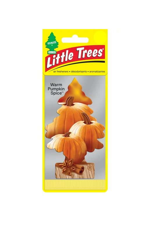 Little Tree Air Freshener Warm Pumpkin Spice 24bx