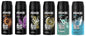 Axe Deodorant 12/bx 150ml (Select Your Scent)