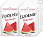 Luden's Cough Drops 25ct Watermelon 12bx